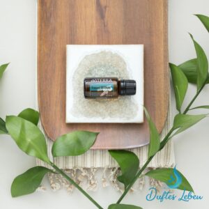 Forest Breeze 15ml - Waldmischung